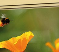 aviva-tirosil-weiss_4085_bild3_192x168_result