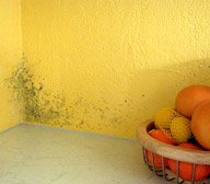 aviva-tirosil-weiss_4085_bild3_192x168_result