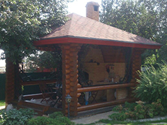 защита от Adler