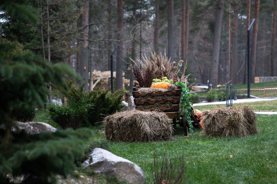 Следуйте нашим рекомендациям!